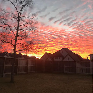 Meet your Posher, Jack